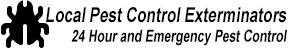 Nantasket Beach MA Pest Control Exterminators